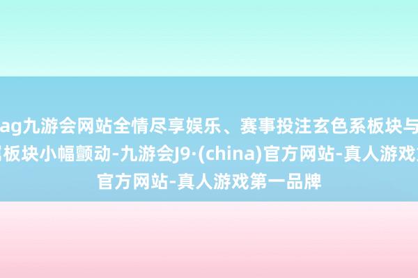 ag九游會網站全情盡享娛樂、賽事投注玄色系板塊與基本金屬板塊小幅顫動-九游會J9·(china)官方網站-真人游戲第一品牌