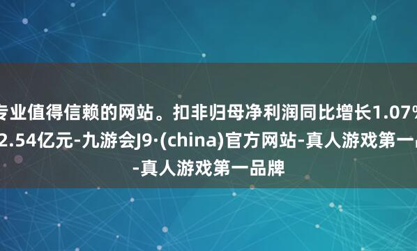 專業值得信賴的網站。扣非歸母凈利潤同比增長1.07%至22.54億元-九游會J9·(china)官方網站-真人游戲第一品牌